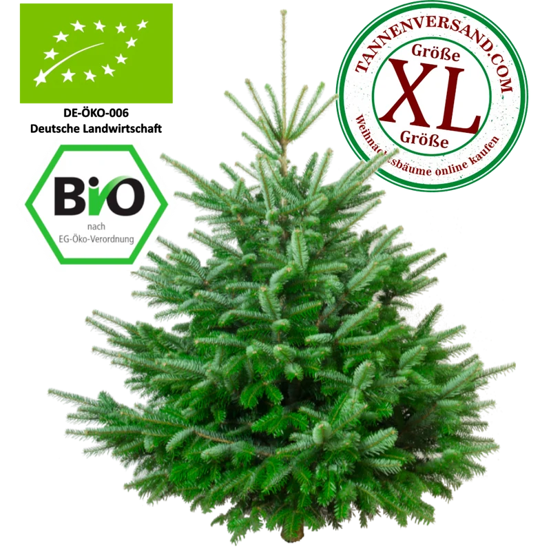 BIO Weihnachtsbaum Nordmanntanne XL 175-200 cm