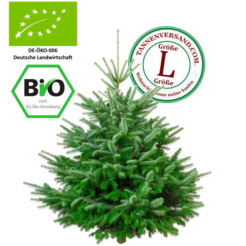 BIO Weihnachtsbaum Nordmanntanne L 150-175 cm