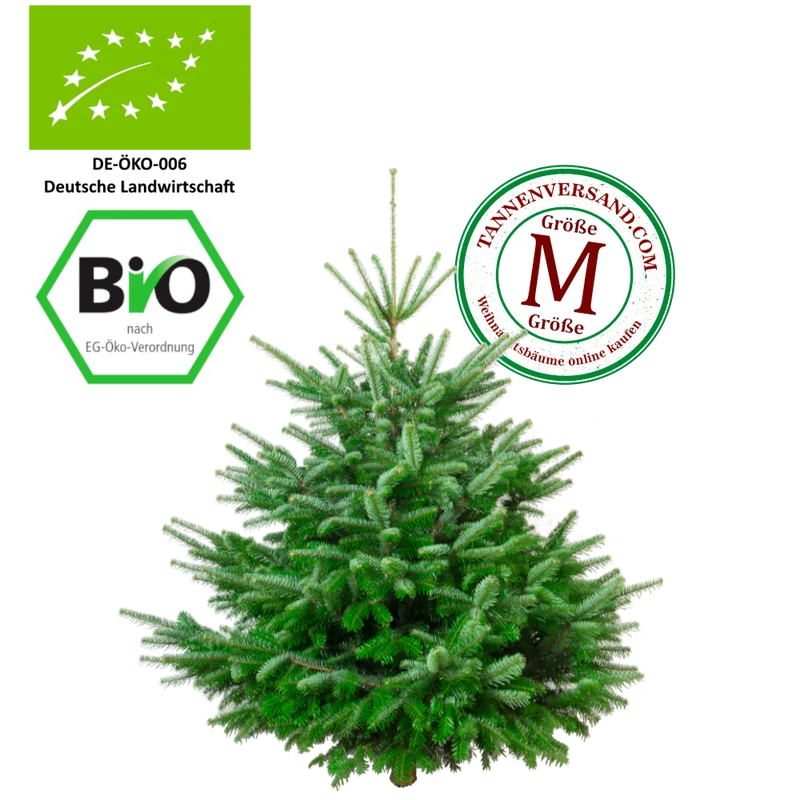 BIO Weihnachtsbaum Nordmanntanne M 125-150 cm