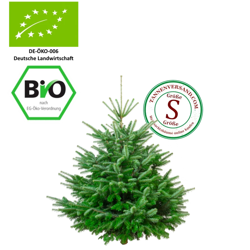 BIO Weihnachtsbaum Nordmanntanne S 100-125 cm